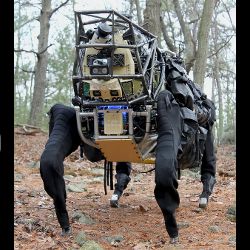 DARPA's AlphaDog system