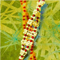Discovering Genes Involved in Disease and the Mystery of Missing Heritability, illustration